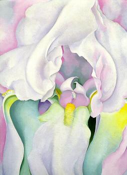 Georgia O Keeffe : Canvas painting VII